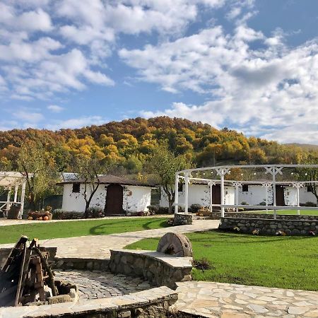 Satul Cu Flori Hotell Buzău Exteriör bild
