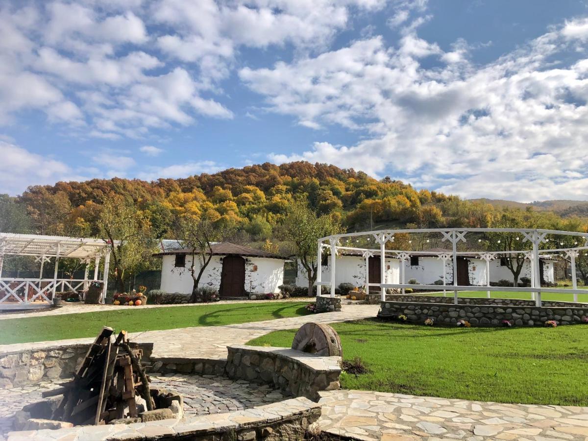 Satul Cu Flori Hotell Buzău Exteriör bild